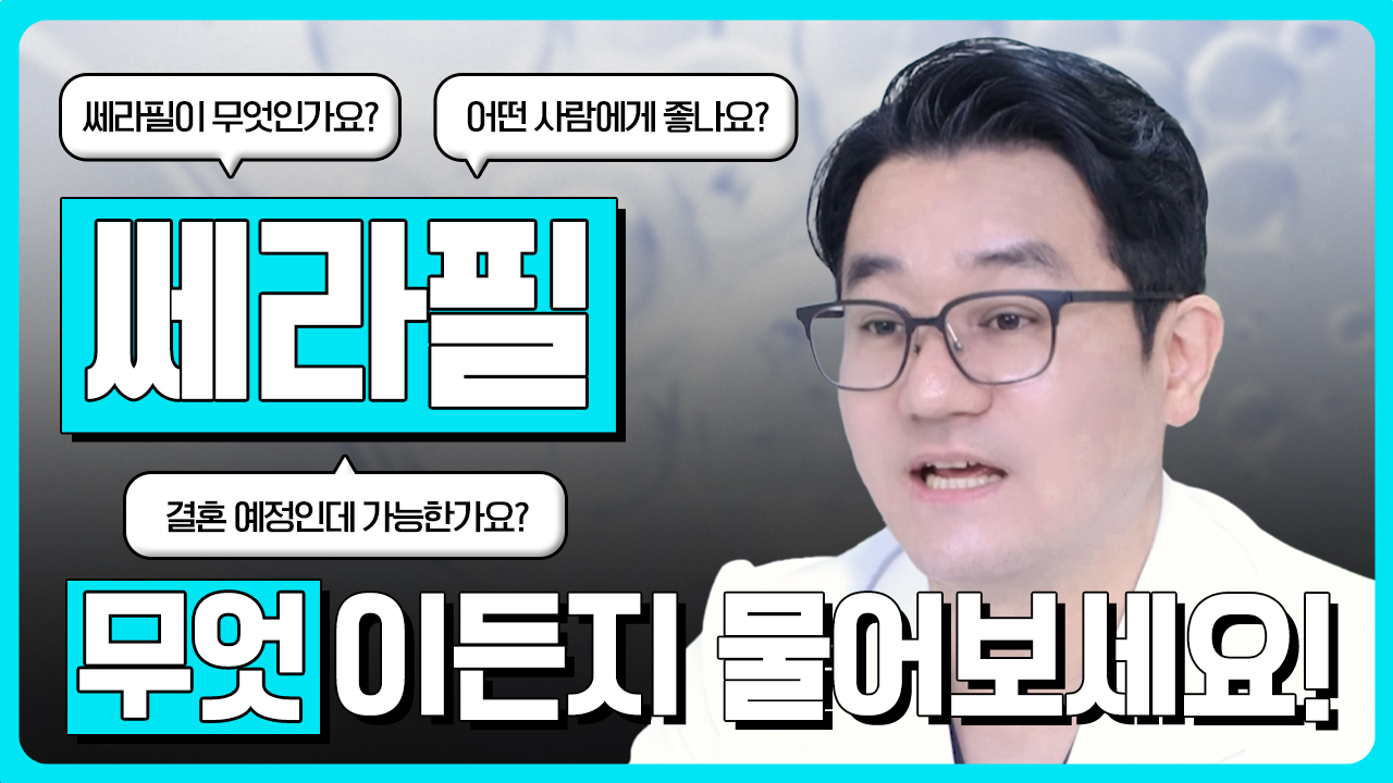 쎄라필, 무엇이든 물어보세요!